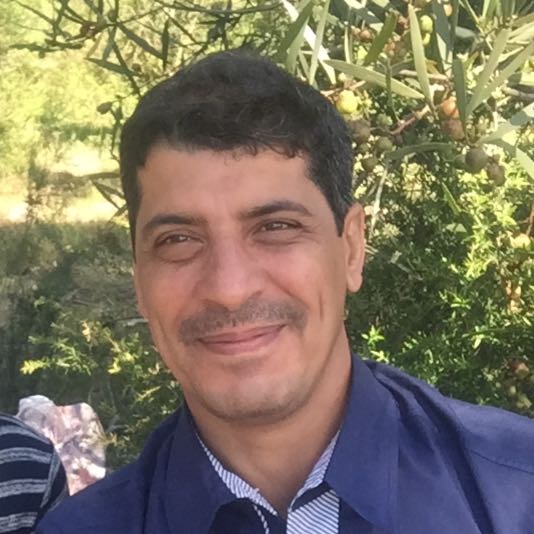 Ali Abdulameer Alwan AL-Hasani